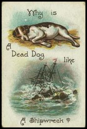 22 Why is a dead dog like a shipwreck